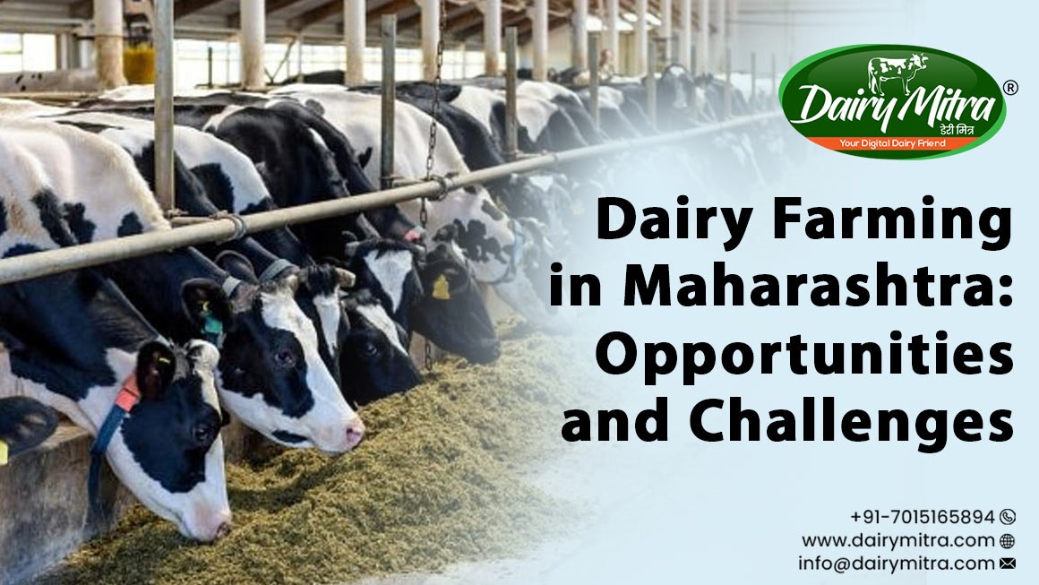 Dairy Farming in Maharashtra